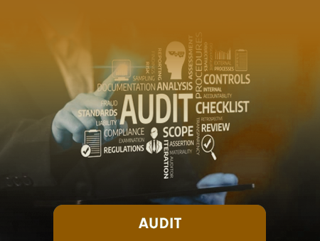 Praesent egestas neque